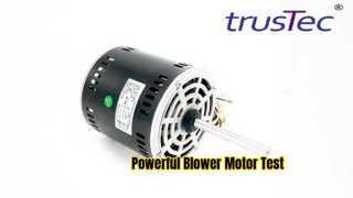 Prueba del motor del ventilador de CA YDK-375-6B64 | 1/2HP, 318-410V, 50Hz, 920RPM en acción